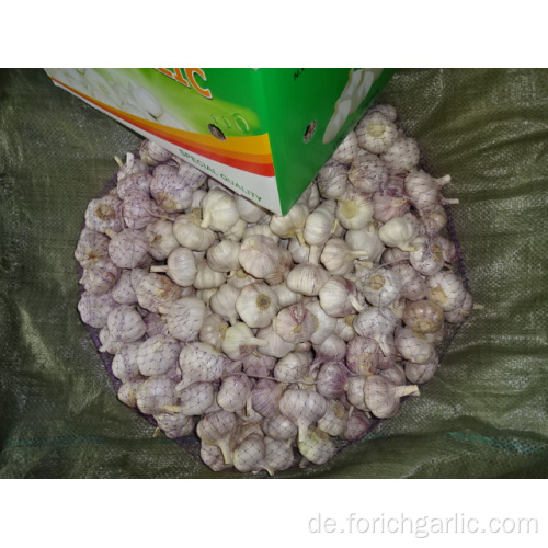 Verschiedene Größen Normaler weißer Knoblauch New Crop 2019